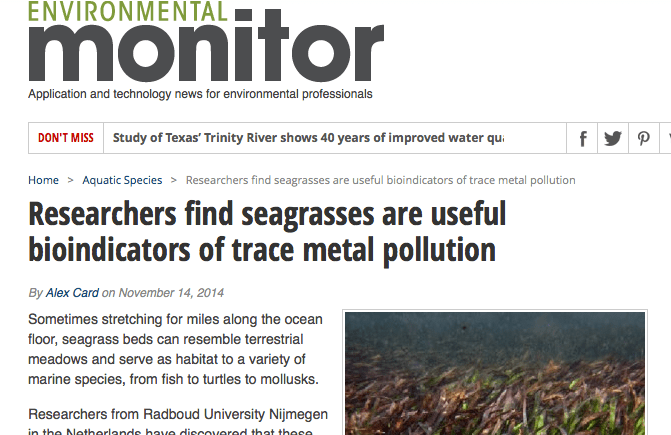 Screen Shot 2014-11-19 at 9.06.15 AM