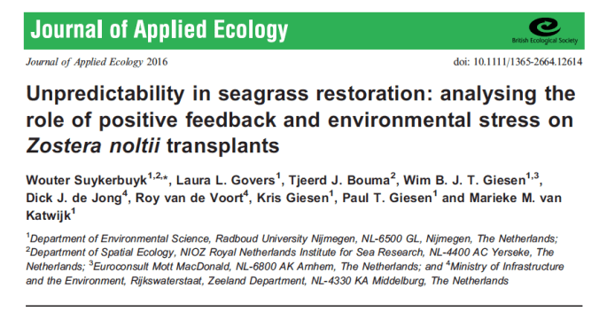 Screen Shot 2016-03-08 at 11.26.06